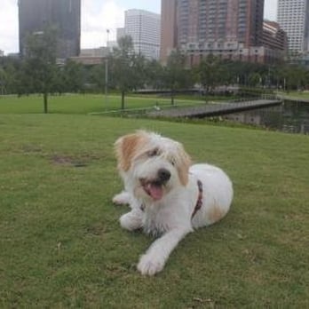 Pup Squad Animal Rescue - Animal Shelters Near Me Pup Squad Animal Rescue - Animal Shelters Near Me