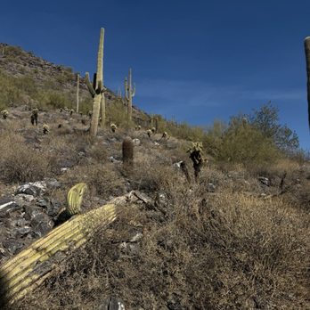 Cave Creek Regional Park - Parks Near Me - Cave Creek, Arizona Cave Creek Regional Park - Parks Near Me - Cave Creek, Arizona