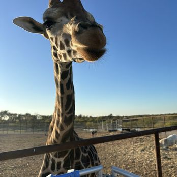 Blue Hills Ranch - Hotels Near Me - McGregor, Texas
