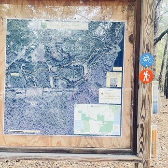Lake Pithlachocco Trailhead - What a huge area to explore!! - Parks Near Me - Gainesville, Florida Lake Pithlachocco Trailhead - What a huge area to explore!! - Parks Near Me - Gainesville, Florida