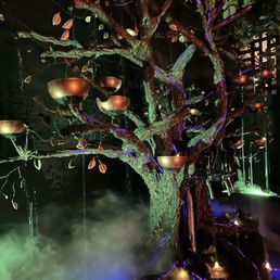 Liquor tree Liquor tree