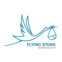 Flying Stork Surrogacy