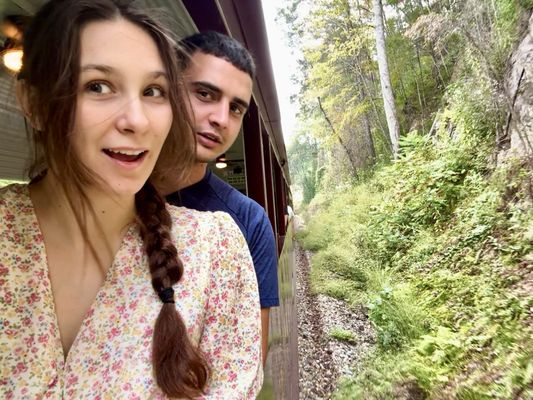 Great Smoky Mountains Railroad by null