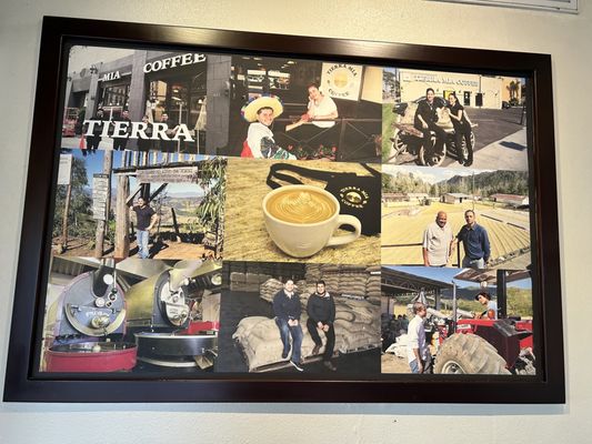 Tierra Mia Coffee by null