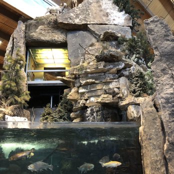 Bass Pro Shops - Fish tank & sitting area - Hunting & Fishing Supplies Near Me - Denver, Colorado