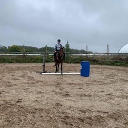 Maple Valley Equestrian