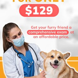 Pet Urgent Care of Wesley Chapel