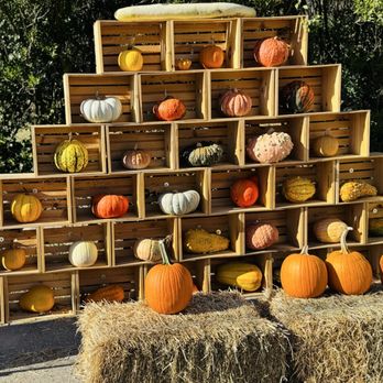 Mack's Apples - Fruits & Veggies Near Me - Londonderry, New Hampshire Mack's Apples - Fruits & Veggies Near Me - Londonderry, New Hampshire