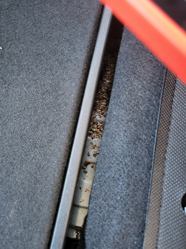 JEFF BELZER’S Updated August 2024 31 Photos & 168 Reviews 21111