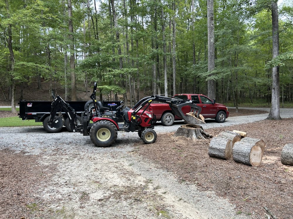 Country Roots Stump Grinding - tree service in Columbia, SC