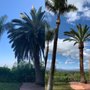 Photo of Reyes Tree Services