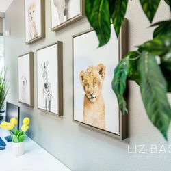 Sullivan Victoria, DDS