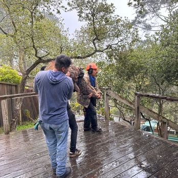 River Landscape & Tree Service - Landscaping Near Me River Landscape & Tree Service - Landscaping Near Me