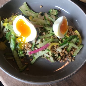 The Daily - Farro Grain Bowl - Coffee & Tea Near Me - Charleston, South Carolina