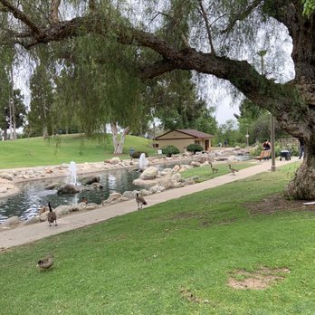 Eisenhower Park - Has a pond w fountain & bridges. Great photo op 5.19.22 - Parks Near Me - Orange, California