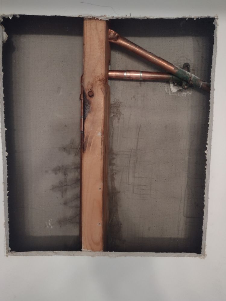 Slide of Narwhal Plumbing