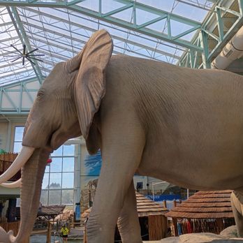 Kalahari Resorts - Resorts Near Me - Sandusky, Ohio