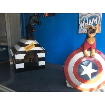 Super-Dog Grooming - Super-Dog Grooming! Where every dog is a hero! - Pet Groomers Near Me - Keyport, New Jersey