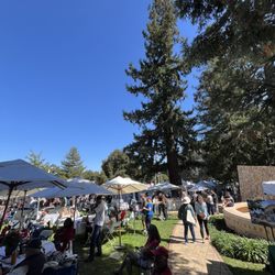 Los Gatos Art & Wine Festival - Los Gatos Art & Wine Festival
