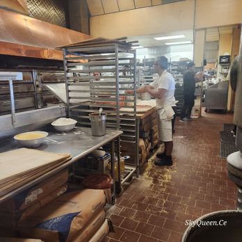 Red Rose - Pizza Making - Pizza Near Me - Springfield, Massachusetts