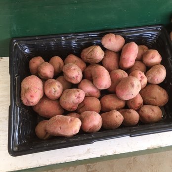 McGlasson Farms - Fruits & Veggies Near Me - Hebron, Kentucky
