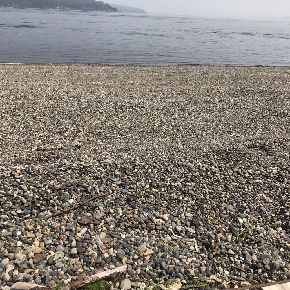 Owen Beach - Owen beach - Beaches Near Me - Tacoma, Washington Owen Beach - Owen beach - Beaches Near Me - Tacoma, Washington
