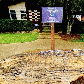 Mississippi Petrified Forest - "Welcome to the Mississippi Petrified Forest. A registered National NATURAL landmark." - Museums Near Me - Flora, Mississippi