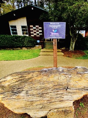 Mississippi Petrified Forest by null