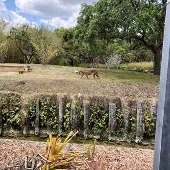 Zoo Miami - Zoos Near Me - Miami, Florida