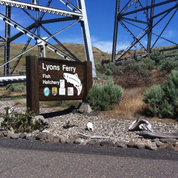 Lyons Ferry State Park - Parks Near Me - Washtucna, Washington Lyons Ferry State Park - Parks Near Me - Washtucna, Washington