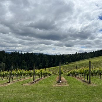 Phelps Creek Vineyards - The views (cont.) - Wine Tasting Room Near Me - Hood River, Oregon