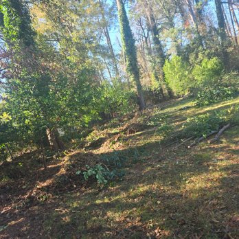 Reyes Landscaping Services - Landscaping Near Me Reyes Landscaping Services - Landscaping Near Me