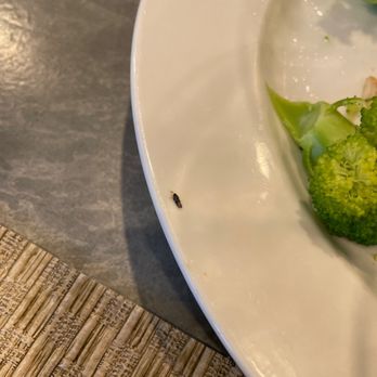 Chopt Creative Salad Co. - Salad Near Me - Rye Brook, New York