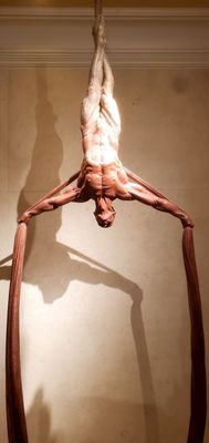 "O" by Cirque du Soleil by null