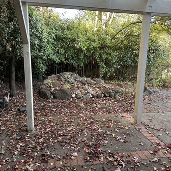 LD Tree Care - Tree Services Near Me LD Tree Care - Tree Services Near Me