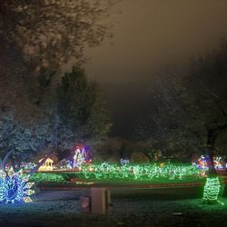 Christmas In the Park - November 2025