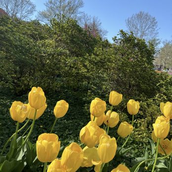 Sherwood Gardens - Parks Near Me - Baltimore, Maryland