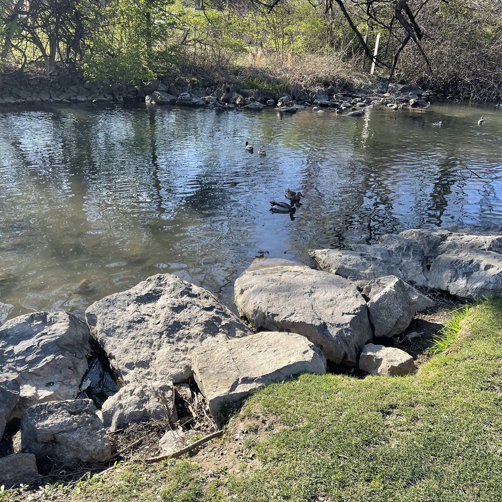 TOP 10 BEST Running Trails near Boiling Springs, PA 17007 - Updated 2026 -  Yelp