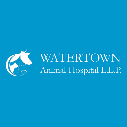 WATERTOWN ANIMAL HOSPITAL Updated September 2024 1445 Washington St