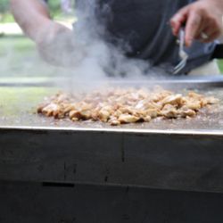 Mt. Fuji Hibachi - Teriyaki chicken best meal best deal !