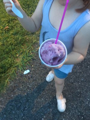 Robears Snowballs & Soft Serve by null