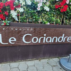 Le Coriandre