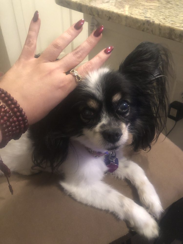 N T NAILS Updated September 2024 70325 Hwy 1077, Covington, Louisiana Nail Salons Phone