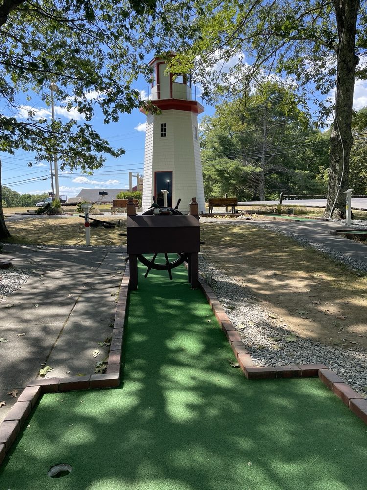Dolphin Mini Golf Logo