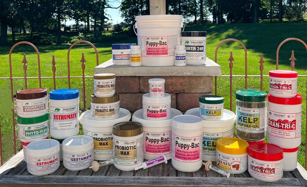 SUNGOLDEN KENNELS Updated September 2024 37 Photos & 14 Reviews