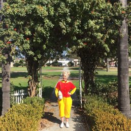 Visiting the beautiful Hundred Acre Wood aka Torrance Park. Lovely trees and green grass all around. Visiting the beautiful Hundred Acre Wood aka Torrance Park. Lovely trees and green grass all around.