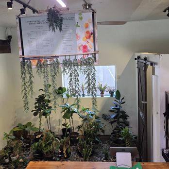 Horizontal Eclipse - Menu and Zen Rock Garden - Juice Bars & Smoothies Near Me - Kirkland, Washington