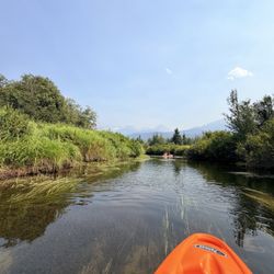 River of Golden Dreams