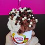 Photo of Gelats Sirvent