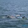 Nature Coast Charters